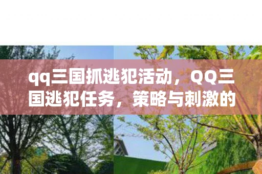 qq三国抓逃犯活动，QQ三国逃犯任务，策略与刺激的完美结合