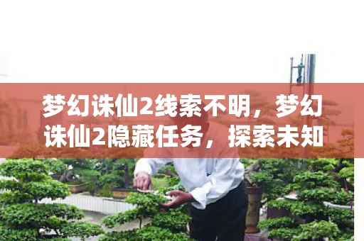 梦幻诛仙2线索不明,梦幻诛仙2隐藏任务,探索未知的秘密之旅 梦幻诛仙2线索不明,梦幻诛仙2隐藏任务,探索未知的秘密之旅