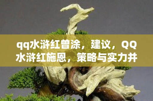 qq水浒红曾涂，建议，QQ水浒红施恩，策略与实力并重的全新挑战