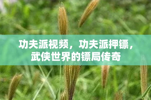 功夫派视频,功夫派押镖,武侠世界的镖局传奇 功夫派视频,功夫派押镖,武侠世界的镖局传奇