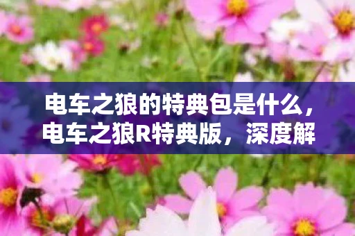 电车之狼的特典包是什么,电车之狼R特典版,深度解析与独特体验 电车之狼的特典包是什么,电车之狼R特典版,深度解析与独特体验