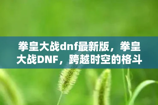 拳皇大战dnf最新版,拳皇大战DNF,跨越时空的格斗盛宴 拳皇大战dnf最新版,拳皇大战DNF,跨越时空的格斗盛宴