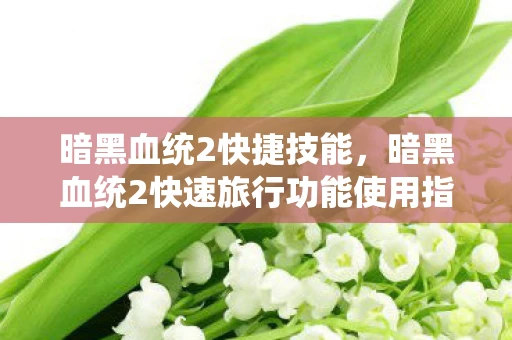 暗黑血统2快捷技能，暗黑血统2快速旅行功能使用指南