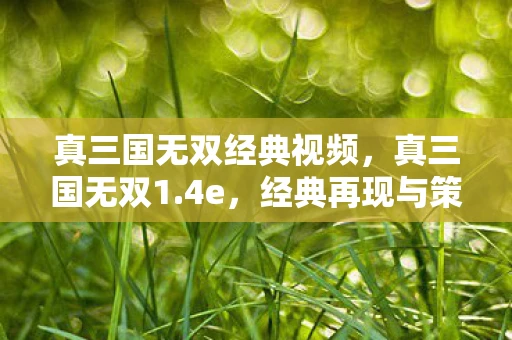 真三国无双经典视频，真三国无双1.4e，经典再现与策略之舞