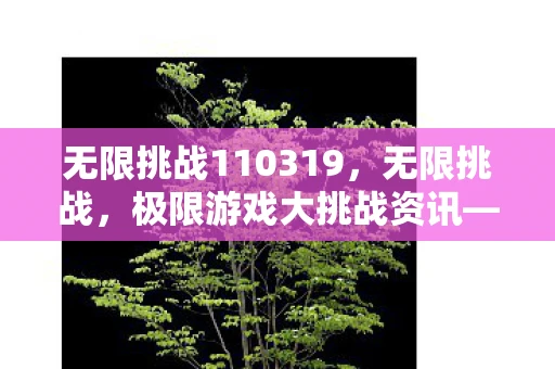 无限挑战110319,无限挑战,极限游戏大挑战资讯—探索未知,挑战极限! 无限挑战110319,无限挑战,极限游戏大挑战资讯—探索未知,挑战极限!