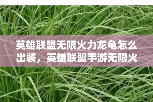 英雄联盟无限火力龙龟怎么出装,英雄联盟手游无限火力龙龟出装攻略 英雄联盟无限火力龙龟怎么出装,英雄联盟手游无限火力龙龟出装攻略