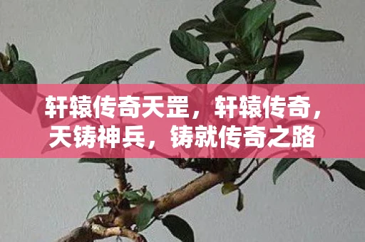 轩辕传奇天罡,轩辕传奇,天铸神兵,铸就传奇之路 轩辕传奇天罡,轩辕传奇,天铸神兵,铸就传奇之路