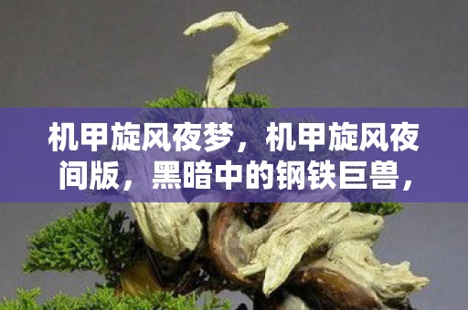 机甲旋风夜梦,机甲旋风夜间版,黑暗中的钢铁巨兽,重燃 机甲旋风夜梦,机甲旋风夜间版,黑暗中的钢铁巨兽,重燃