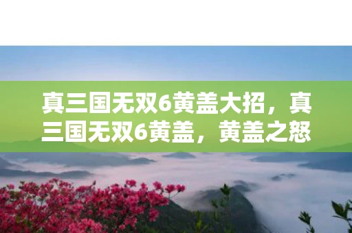 真三国无双6黄盖大招,真三国无双6黄盖,黄盖之怒涛狂潮—游戏中的独特魅力与战斗风采 真三国无双6黄盖大招,真三国无双6黄盖,黄盖之怒涛狂潮—游戏中的独特魅力与战斗风采