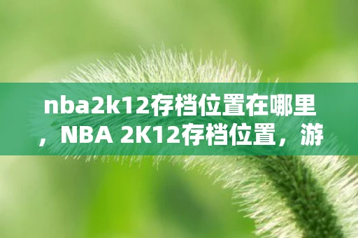 nba2k12存档位置在哪里，NBA 2K12存档位置，游戏数据存储的奥秘