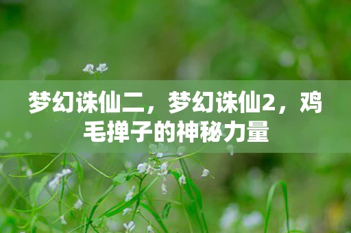 梦幻诛仙二，梦幻诛仙2，鸡毛掸子的神秘力量
