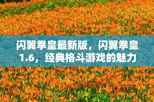 闪翼拳皇最新版，闪翼拳皇1.6，经典格斗游戏的魅力再现