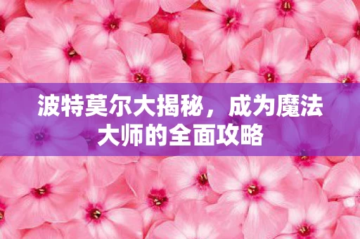 成为魔法大师的全面攻略图片