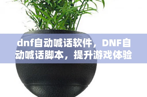 dnf自动喊话软件，DNF自动喊话脚本，提升游戏体验的必备神器