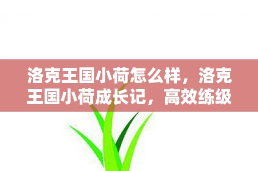 洛克王国小荷怎么样，洛克王国小荷成长记，高效练级策略与乐趣