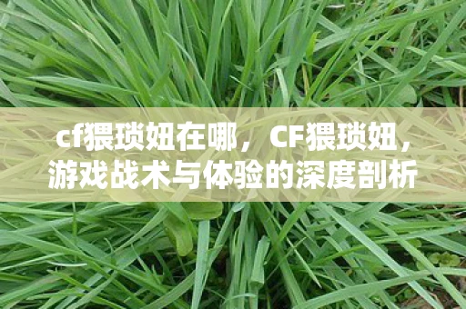 cf猥琐妞在哪，CF猥琐妞，游戏战术与体验的深度剖析
