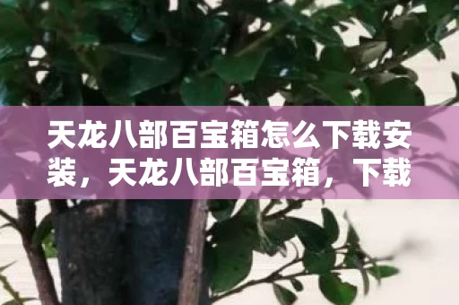 天龙八部百宝箱怎么下载安装,天龙八部百宝箱,下载、使用与获取全攻略 天龙八部百宝箱怎么下载安装,天龙八部百宝箱,下载、使用与获取全攻略
