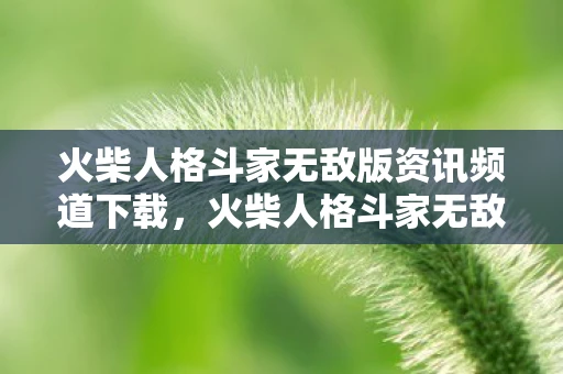 火柴人格斗家无敌版资讯频道下载,火柴人格斗家无敌版,热血竞技,谁与争锋? 火柴人格斗家无敌版资讯频道下载,火柴人格斗家无敌版,热血竞技,谁与争锋?