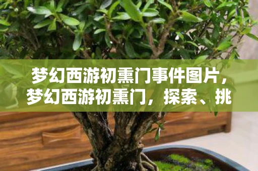 梦幻西游初熏门事件图片,梦幻西游初熏门,探索、挑战与社交的完美融合 梦幻西游初熏门事件图片,梦幻西游初熏门,探索、挑战与社交的完美融合