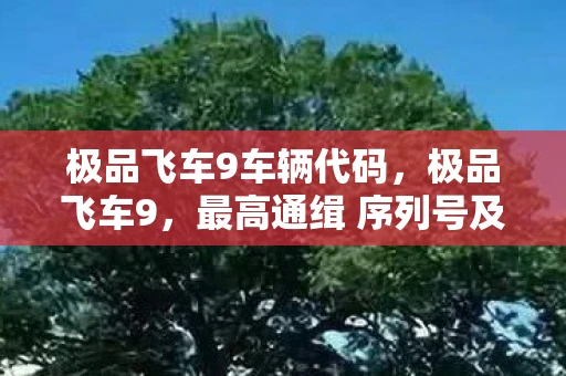 极品飞车9车辆代码，极品飞车9，最高通缉 序列号及游戏特色全解析