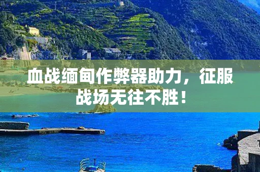 血战缅甸作弊器助力，征服战场无往不胜！