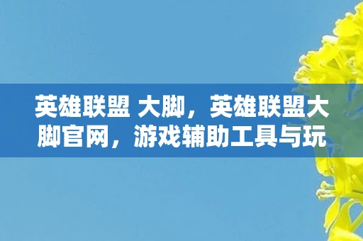 英雄联盟 大脚，英雄联盟大脚官网，游戏辅助工具与玩家社区的完美结合