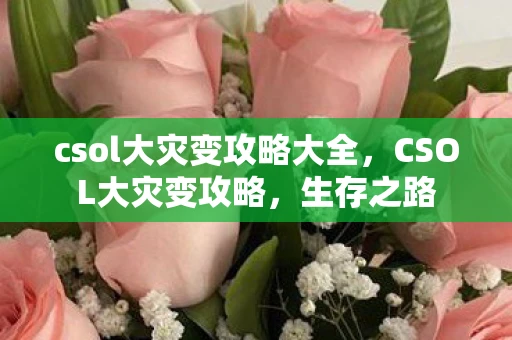 csol大灾变攻略大全，CSOL大灾变攻略，生存之路