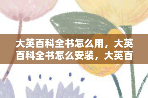 大英百科全书怎么用，大英百科全书怎么安装，大英百科全书的安装步骤详解