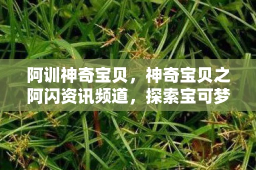 阿训神奇宝贝，神奇宝贝之阿闪资讯频道，探索宝可梦世界的最新动态