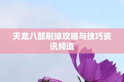 天龙八部刷球攻略与技巧资讯频道图片