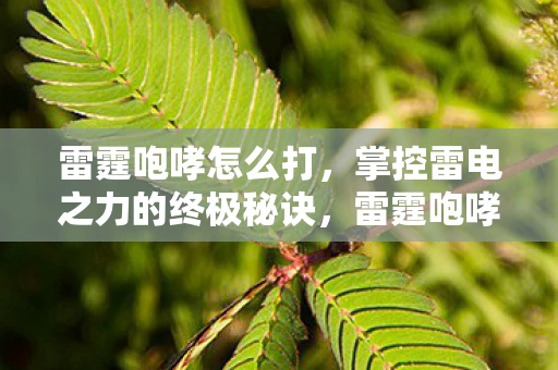 雷霆咆哮怎么打，掌控雷电之力的终极秘诀，雷霆咆哮天赋详解