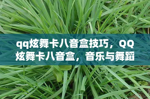 qq炫舞卡八音盒技巧,QQ炫舞卡八音盒,音乐与舞蹈的完美结合 qq炫舞卡八音盒技巧,QQ炫舞卡八音盒,音乐与舞蹈的完美结合