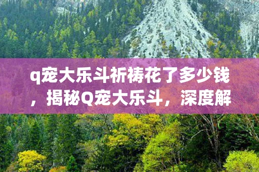 q宠大乐斗祈祷花了多少钱，揭秘Q宠大乐斗，深度解析游戏魅力与独特祈祷系统