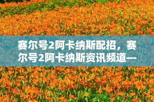 赛尔号2阿卡纳斯配招，赛尔号2阿卡纳斯资讯频道—探索未知世界的先锋