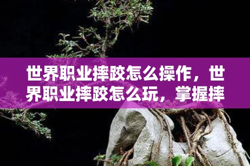 世界职业摔跤怎么操作，世界职业摔跤怎么玩，掌握摔跤技巧，成为赛场霸主