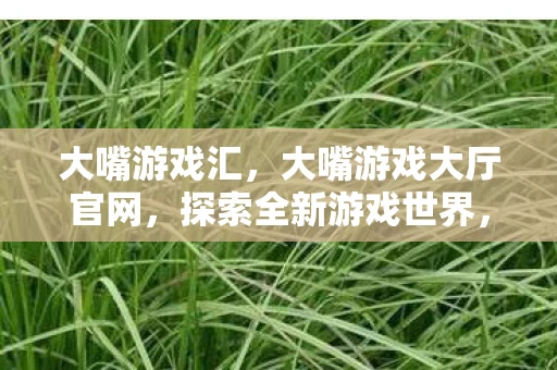 大嘴游戏汇，大嘴游戏大厅官网，探索全新游戏世界，畅享无限乐趣的门户站点