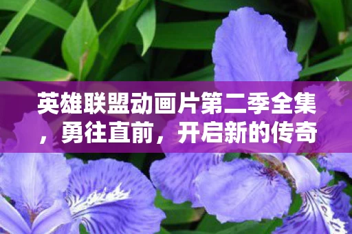 英雄联盟动画片第二季全集图片