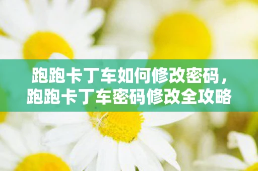 跑跑卡丁车如何修改密码,跑跑卡丁车密码修改全攻略 跑跑卡丁车如何修改密码,跑跑卡丁车密码修改全攻略
