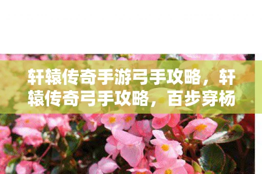 轩辕传奇手游弓手攻略,轩辕传奇弓手攻略,百步穿杨,箭无虚发 轩辕传奇手游弓手攻略,轩辕传奇弓手攻略,百步穿杨,箭无虚发