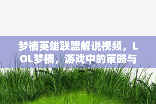 梦楠英雄联盟解说视频，LOL梦楠，游戏中的策略与团队协作