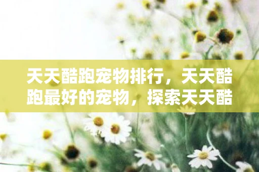 天天酷跑宠物排行，天天酷跑最好的宠物，探索天天酷跑中的顶级宠物