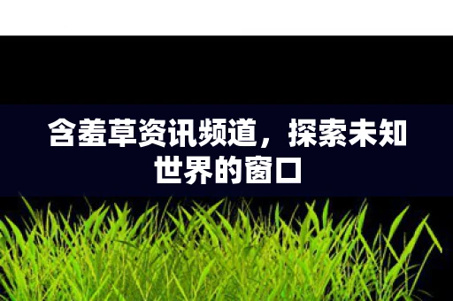 含羞草资讯频道，探索未知世界的窗口