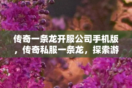 传奇一条龙开服公司手机版,传奇私服一条龙,探索游戏世界的深度与广度 传奇一条龙开服公司手机版,传奇私服一条龙,探索游戏世界的深度与广度