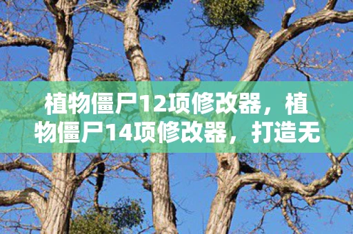 植物僵尸12项修改器,植物僵尸14项修改器,打造无敌战斗体验 植物僵尸12项修改器,植物僵尸14项修改器,打造无敌战斗体验