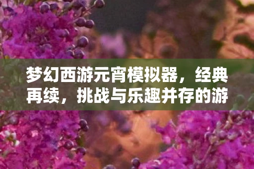 梦幻西游元宵模拟器，经典再续，挑战与乐趣并存的游戏新体验