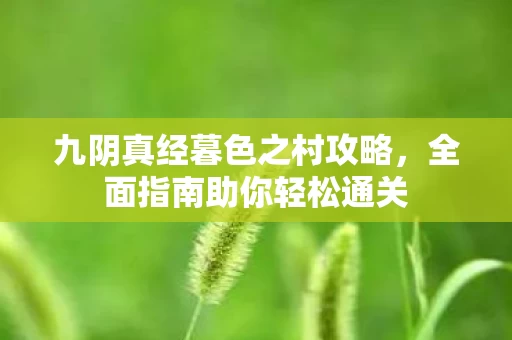 九阴真经暮色之村攻略图片