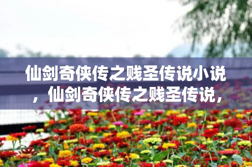 仙剑奇侠传之贱圣传说小说，仙剑奇侠传之贱圣传说，风云激荡，英雄崭露头角