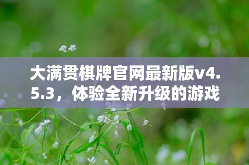 大满贯棋牌官网最新版v4.5.3，体验全新升级的游戏魅力