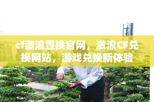cf激浪置换官网，激浪CF兑换网站，游戏兑换新体验