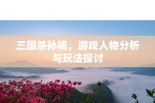 游戏人物分析与玩法探讨图片